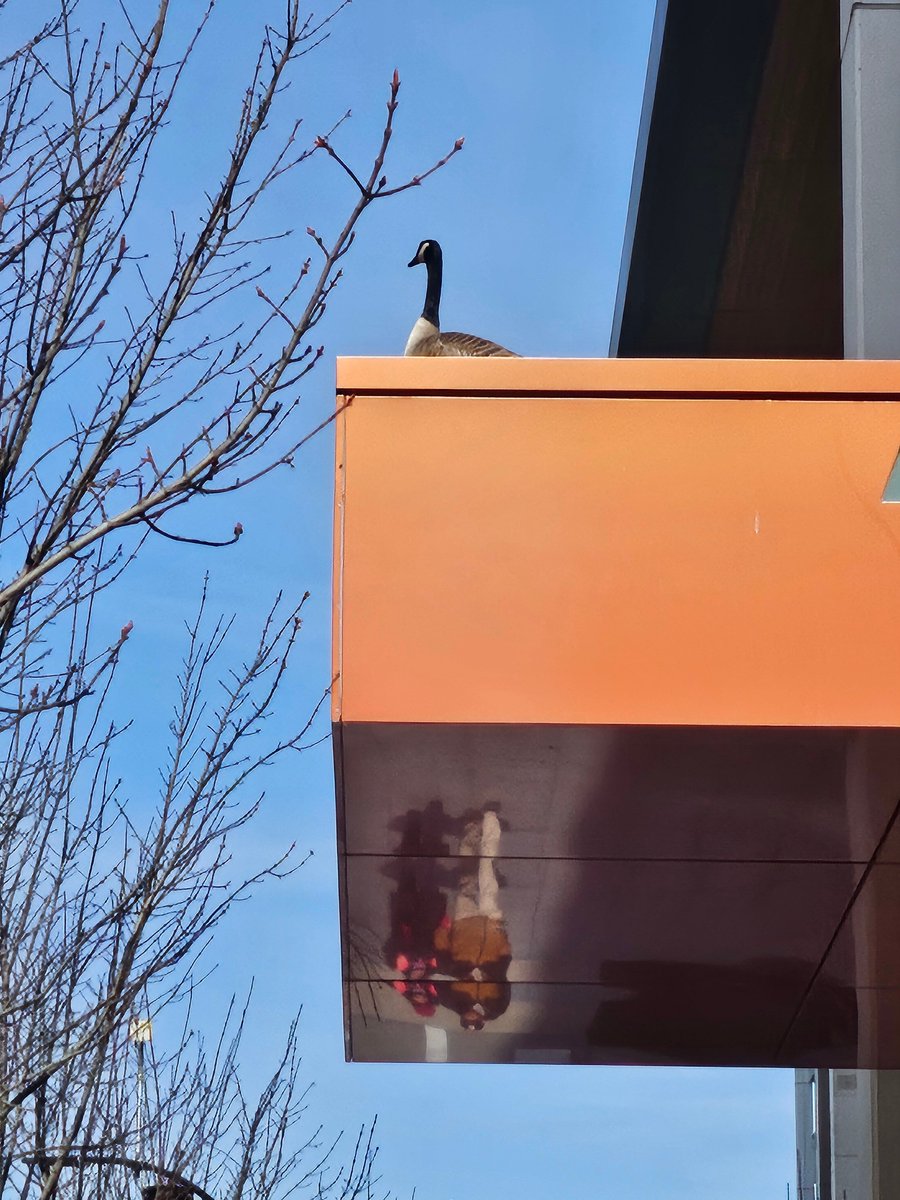 🌧윤람🌿 tweet media