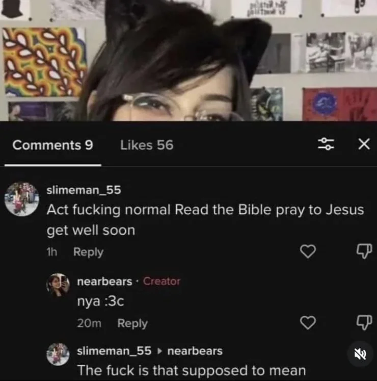 Gay Frog 🏳️‍⚧️ tweet media