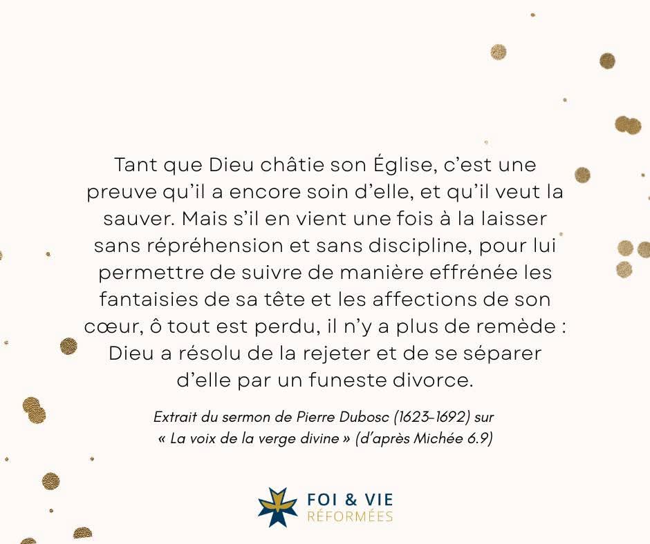 Foi et Vie Réformées tweet media