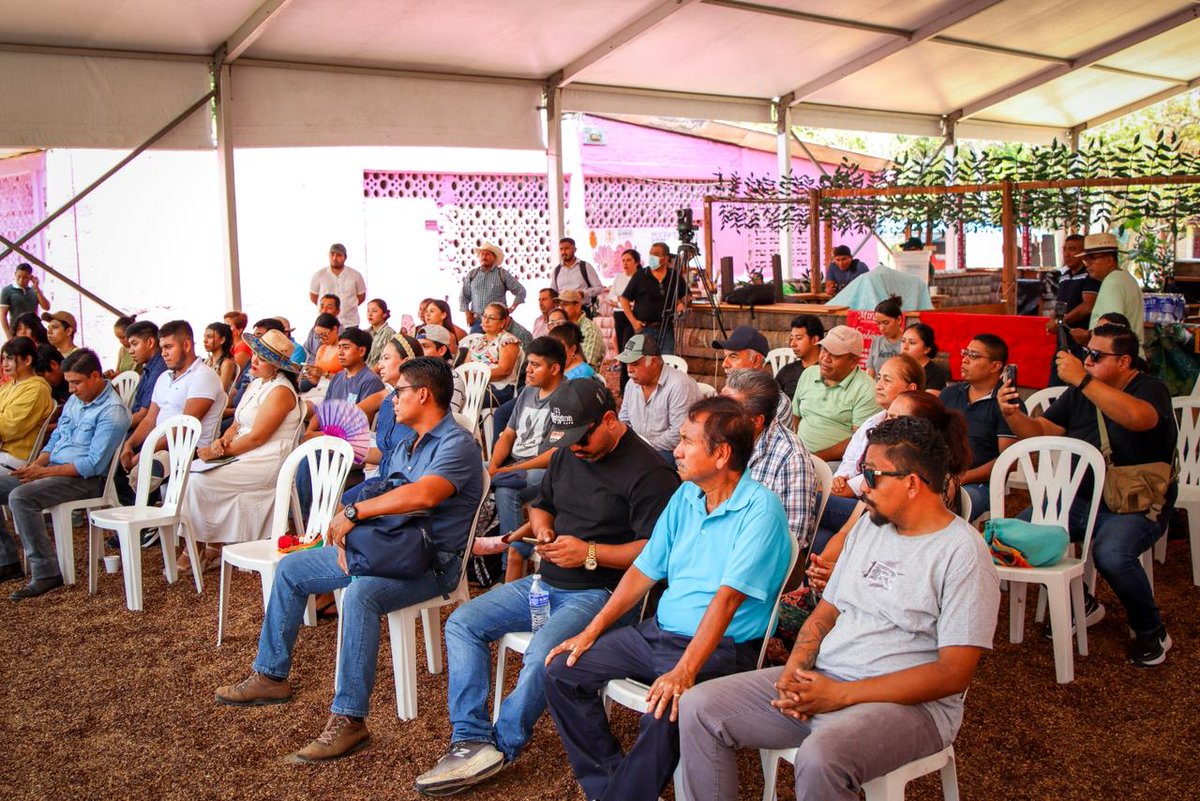 El Sol de Chilpancingo tweet media