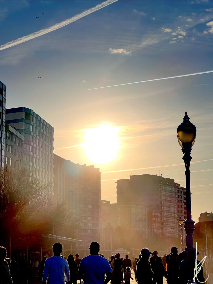 Glaucópida tweet media