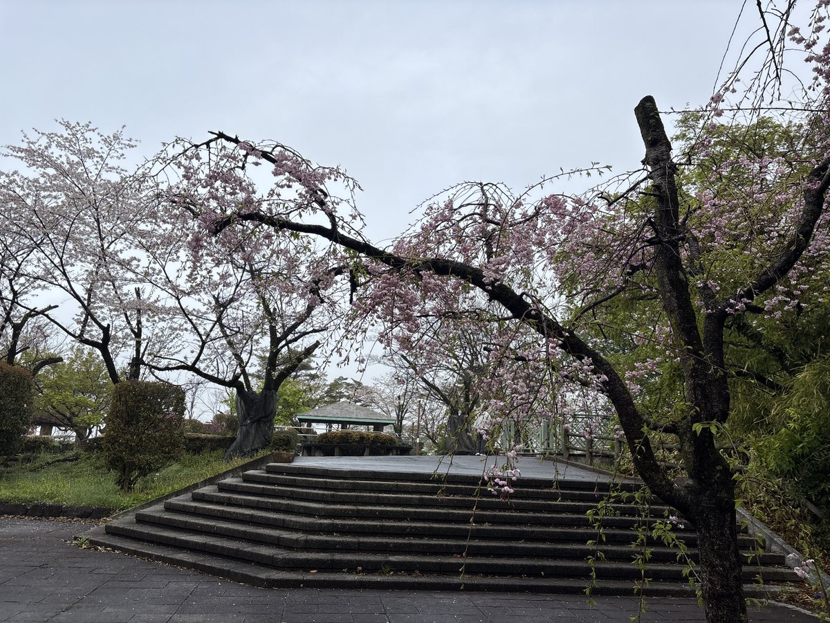 ぽみゅぽみゅ🌟わっかーず tweet media