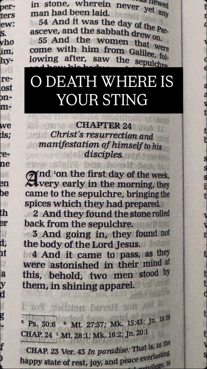 Tomas Mones-Cazon tweet media