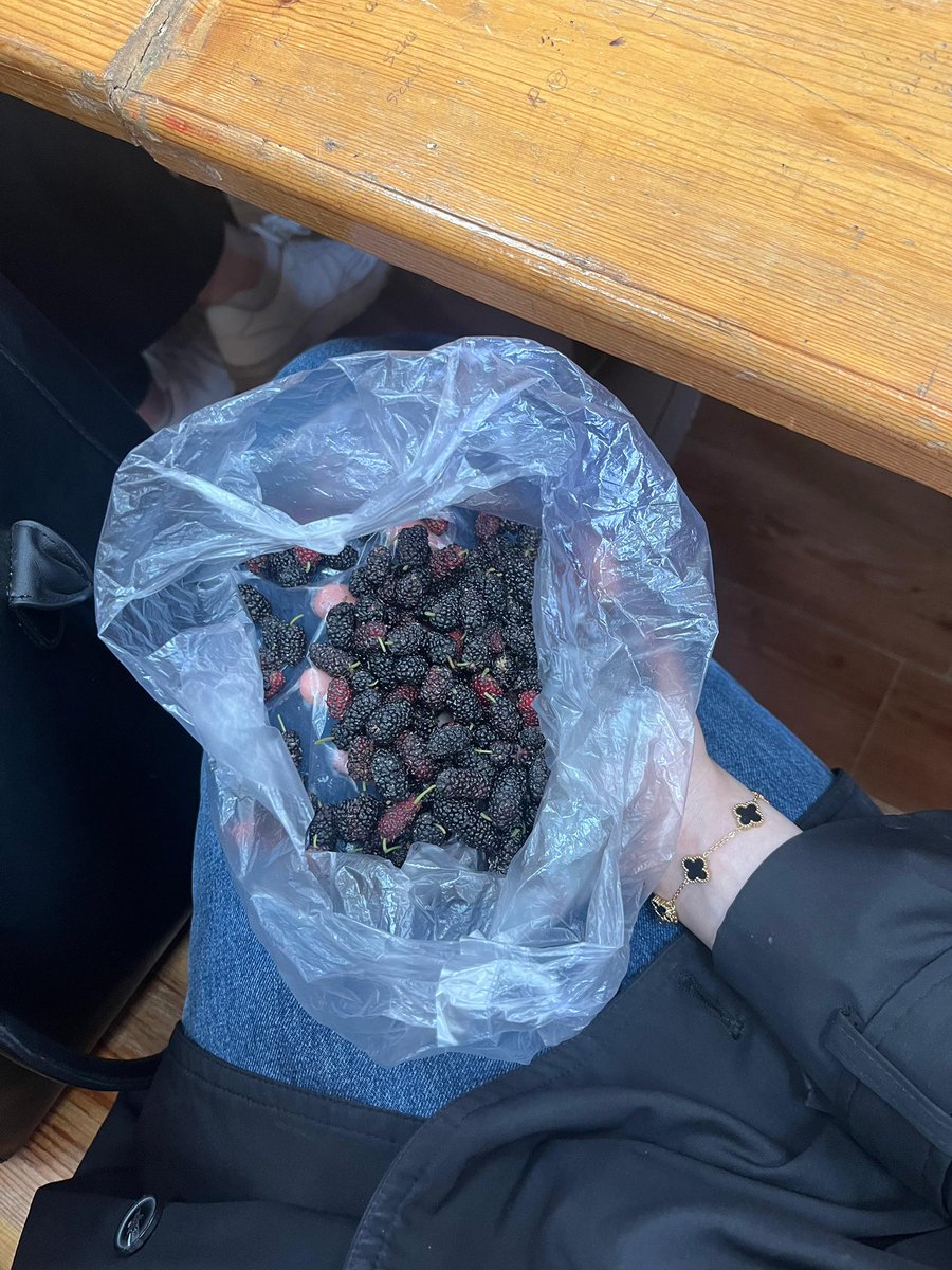 ميمي tweet media