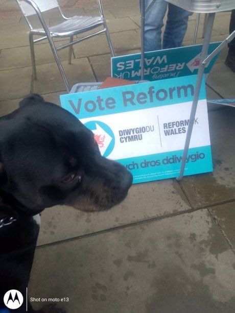 ReformDaily_'s tweet image. 🏴󠁧󠁢󠁷󠁬󠁳󠁿Reform out in Llanelli &amp;amp; Carmarthen - on the ground, speaking to shoppers, traders &amp;amp; taking on misinformation head-on

After years of failure, Wales is ready for change &amp;amp; now, “at last, Wales finally has a real alternative”

May 7 - Vote Reform 

#ReformUK #Wales