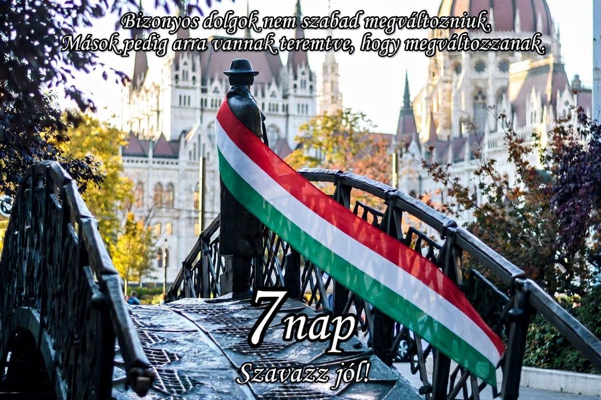 Le carnet d'Andréa ✍🏻 - तरुण कूर्म ('ت') 🐢 tweet media