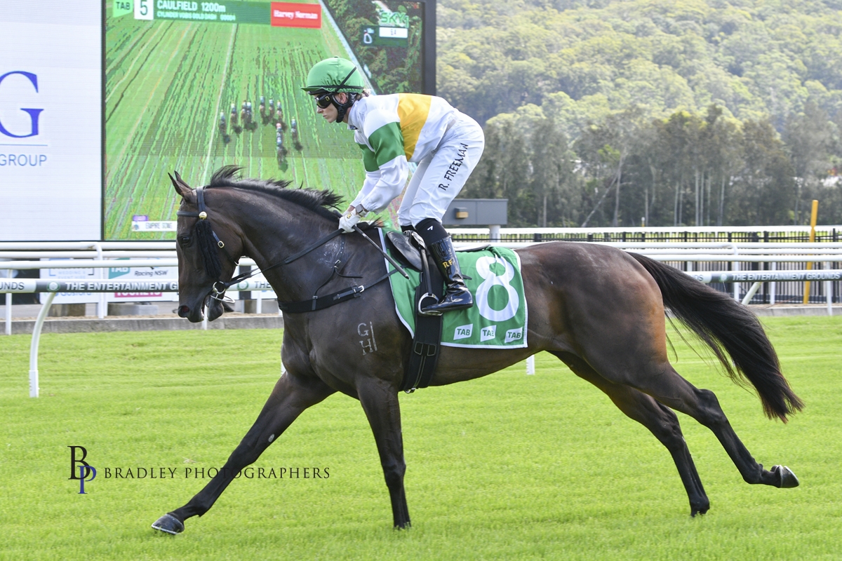 David Pfieffer Racing tweet media