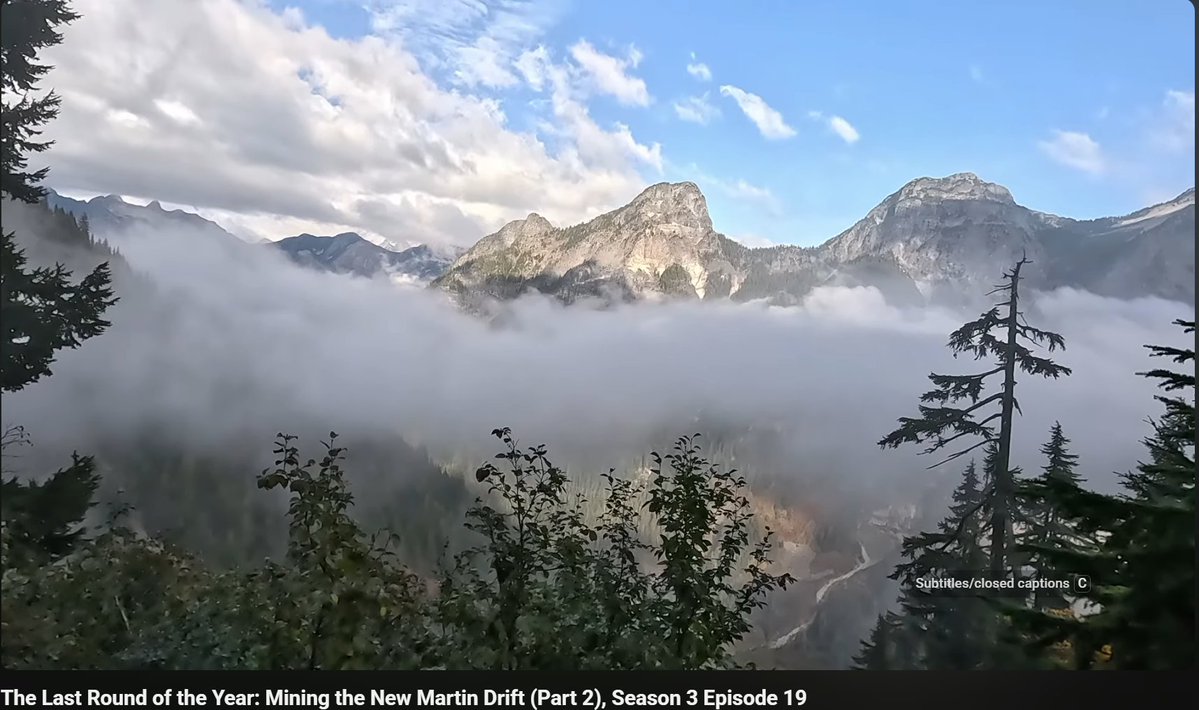 3rdWorldAllergic tweet media