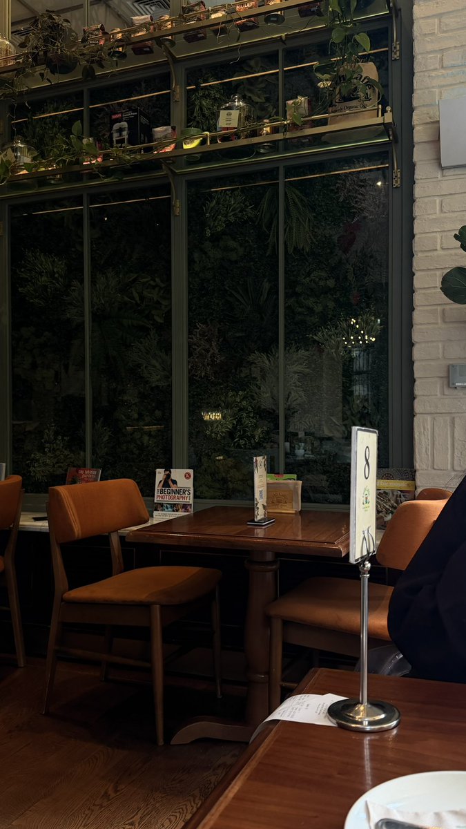 م.إيـلينا tweet media