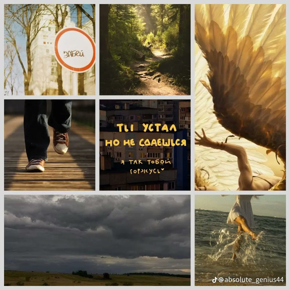 Margo Ko tweet media