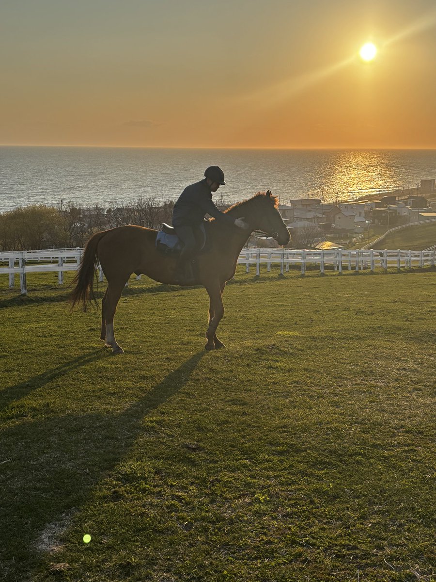グリングリングラスの成長日記🐴 tweet media