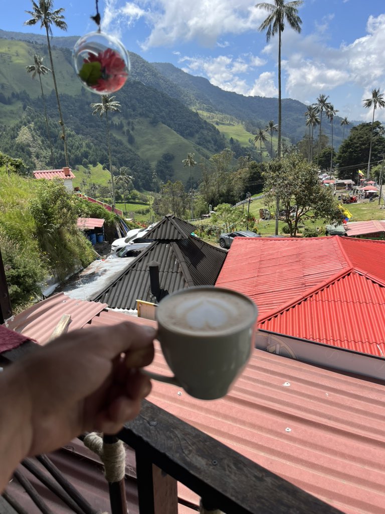 Scotian82 tweet media