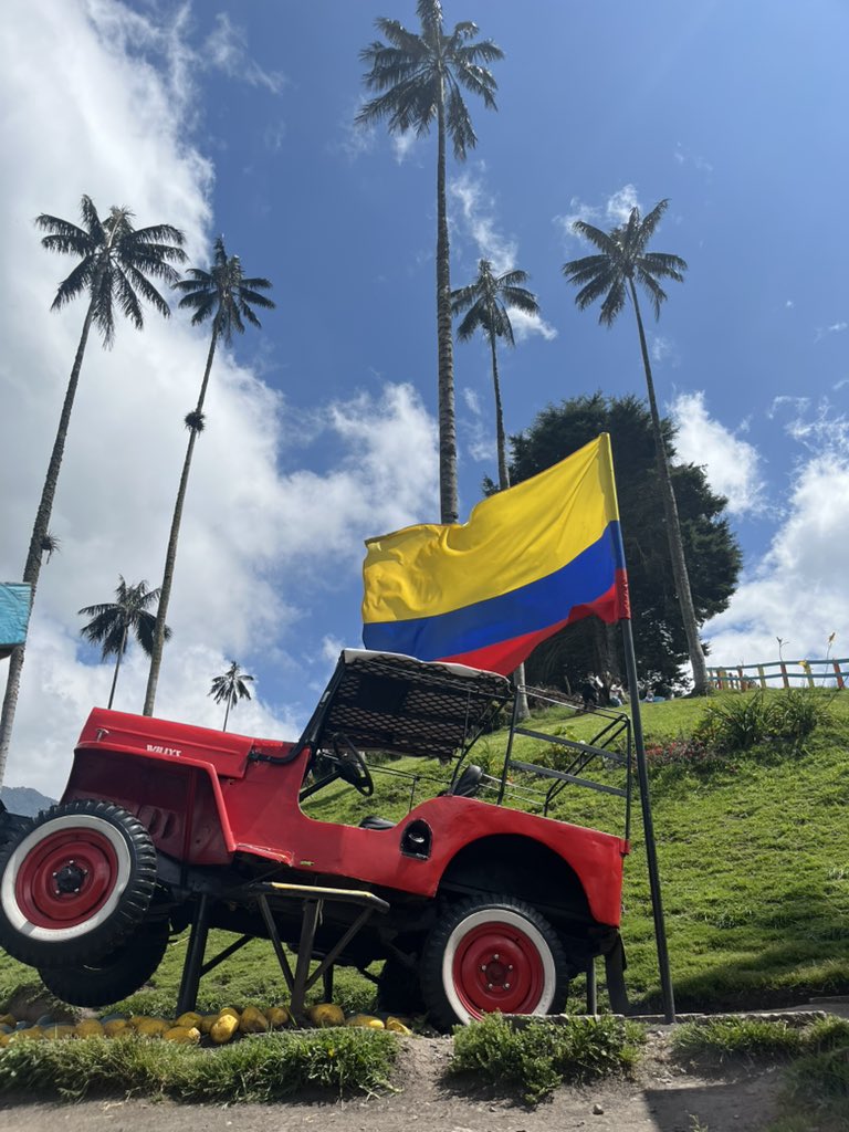 Scotian82 tweet media