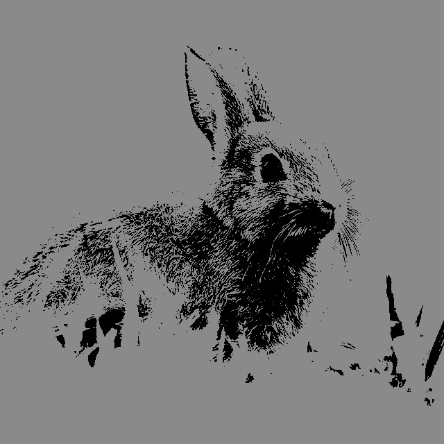 ᅠᅠᅠᅠᅠ 𝙗𝙪𝙣𝙣𝙮 g͟i͟r͟l͟ ... tweet media