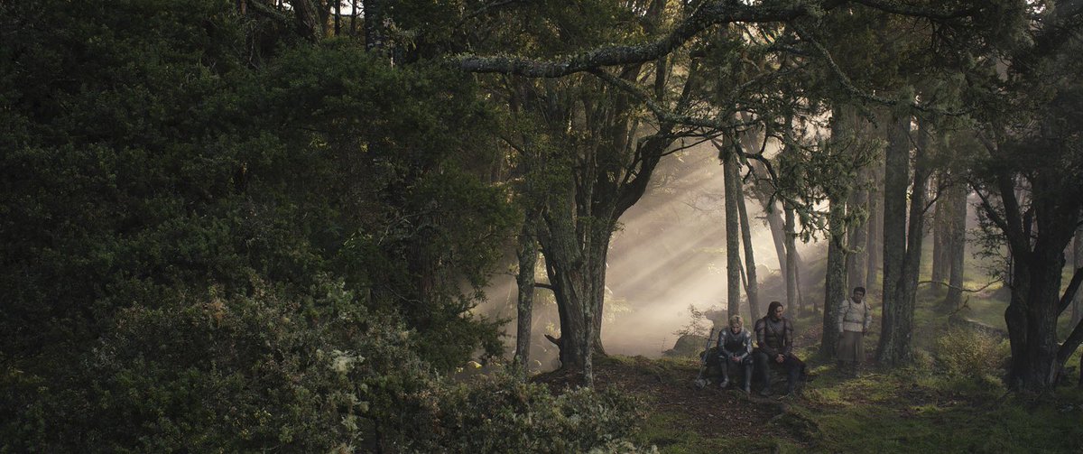 DiscussingFilm tweet media