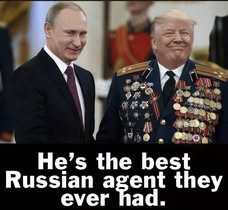 Windy101🇨🇦🇺🇸🇺🇦🐾🐾🐾 tweet media
