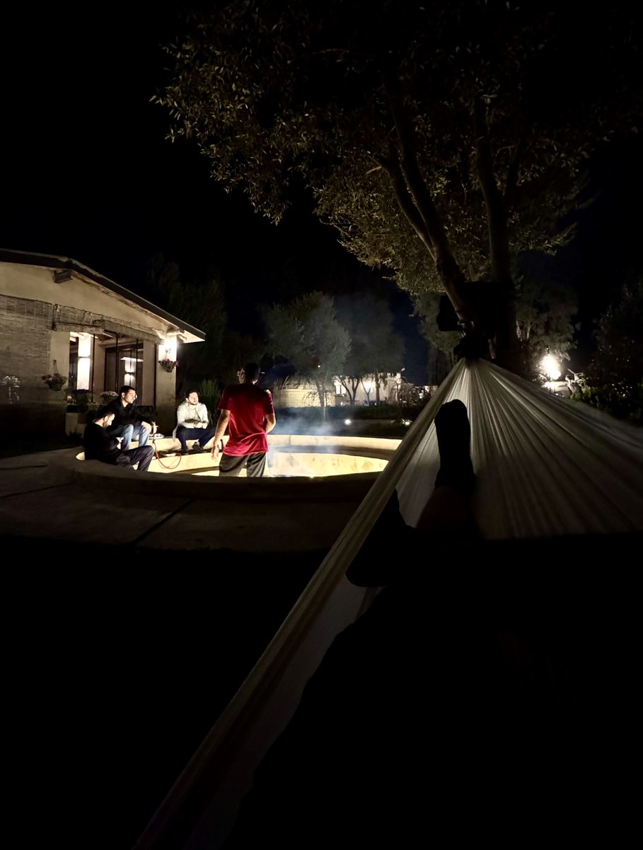 mohammadamin tweet media