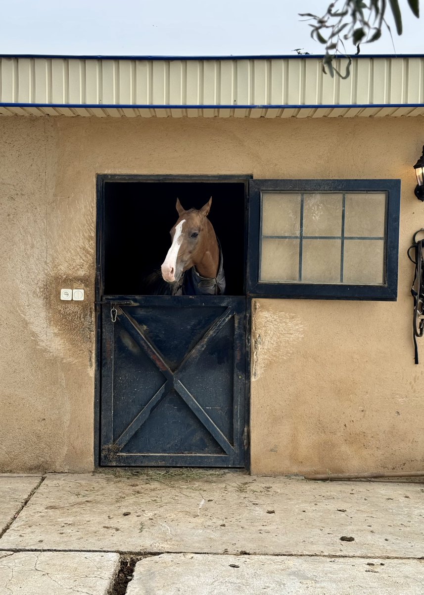 mohammadamin tweet media