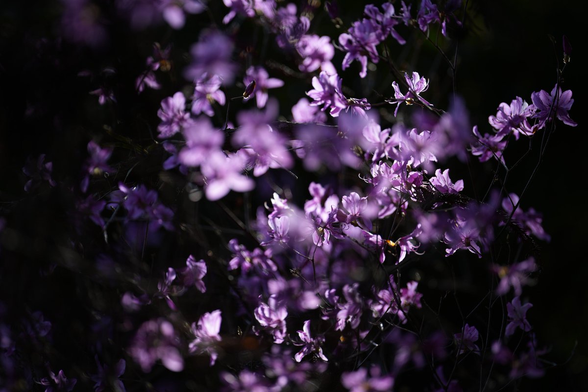 んなぁちゃん tweet media