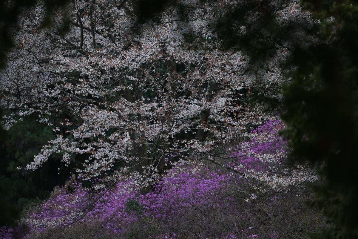 んなぁちゃん tweet media