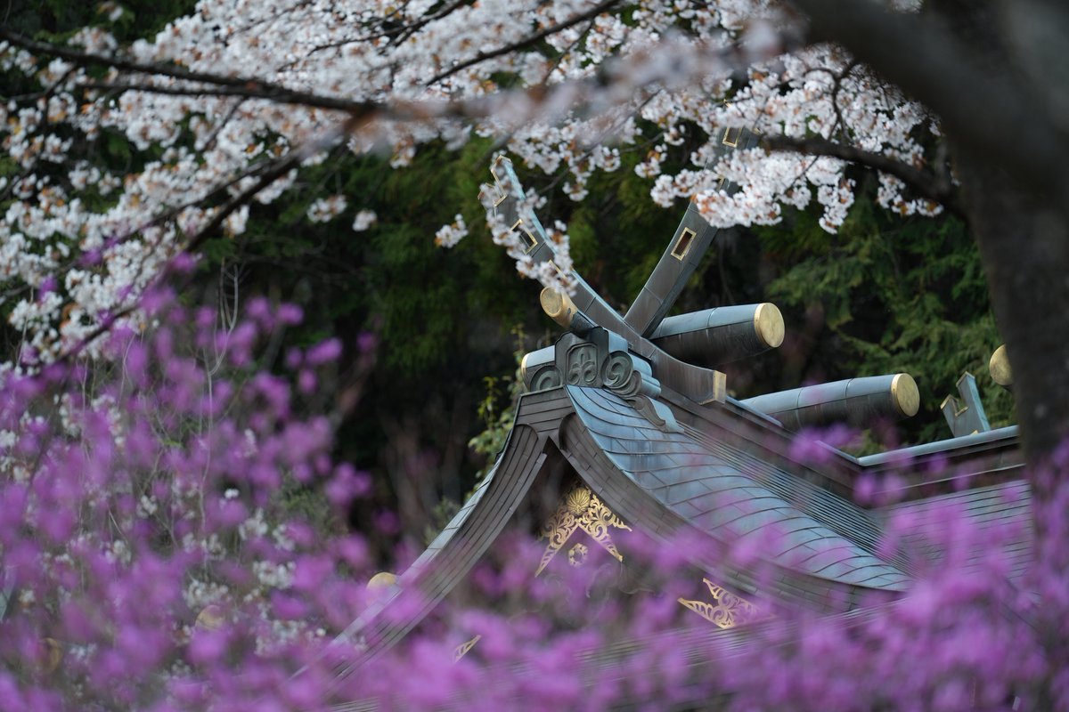 んなぁちゃん tweet media