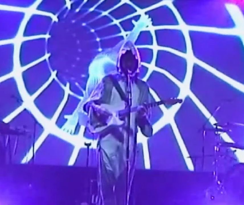 lady bird tweet media