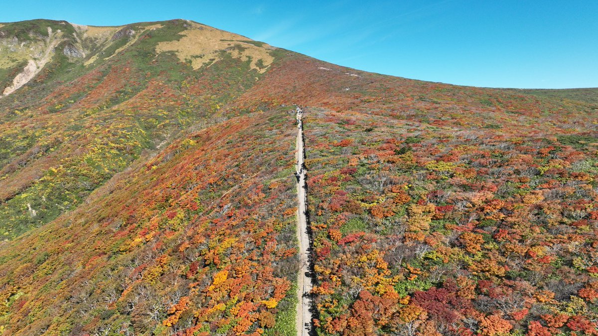 Higty@TinyBetter CEO tweet media