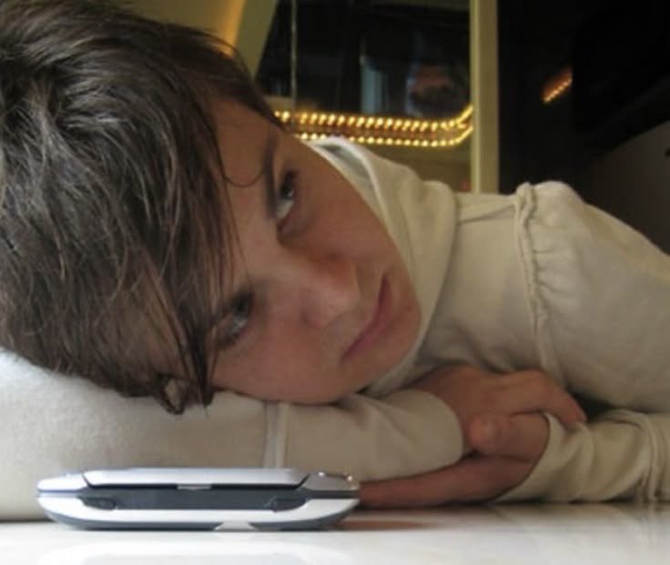 bandom as animals tweet media