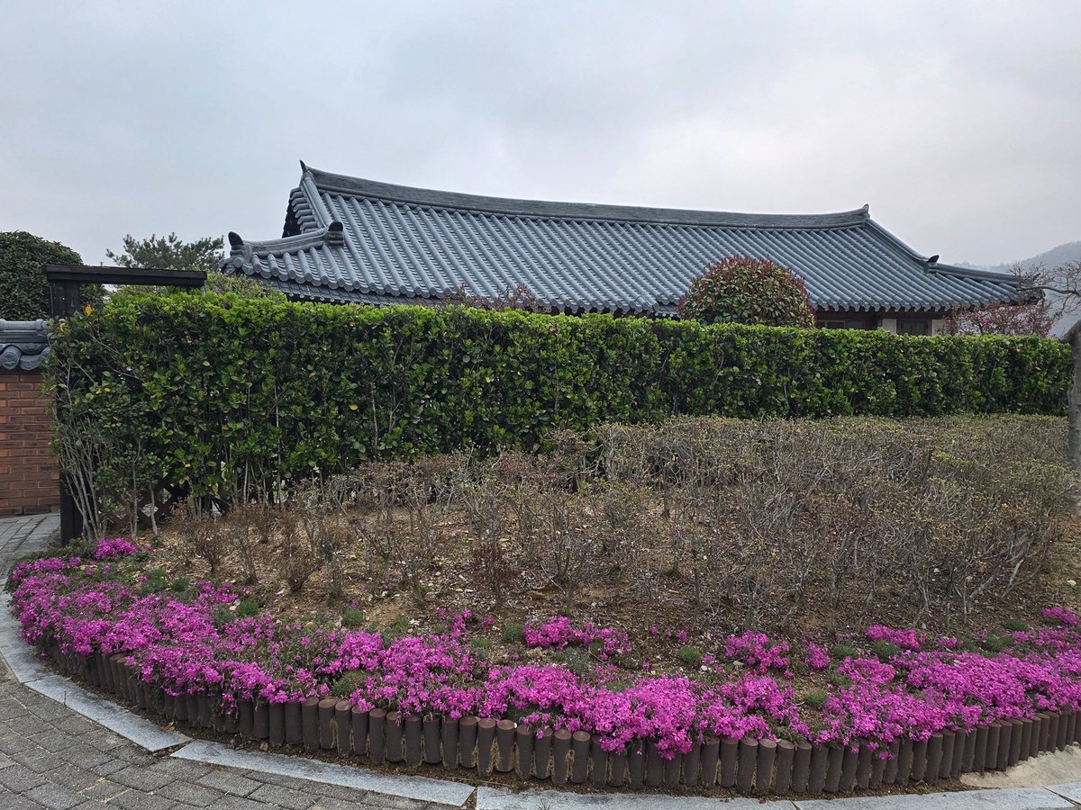 국민의힘 전남도당 위원장 tweet media