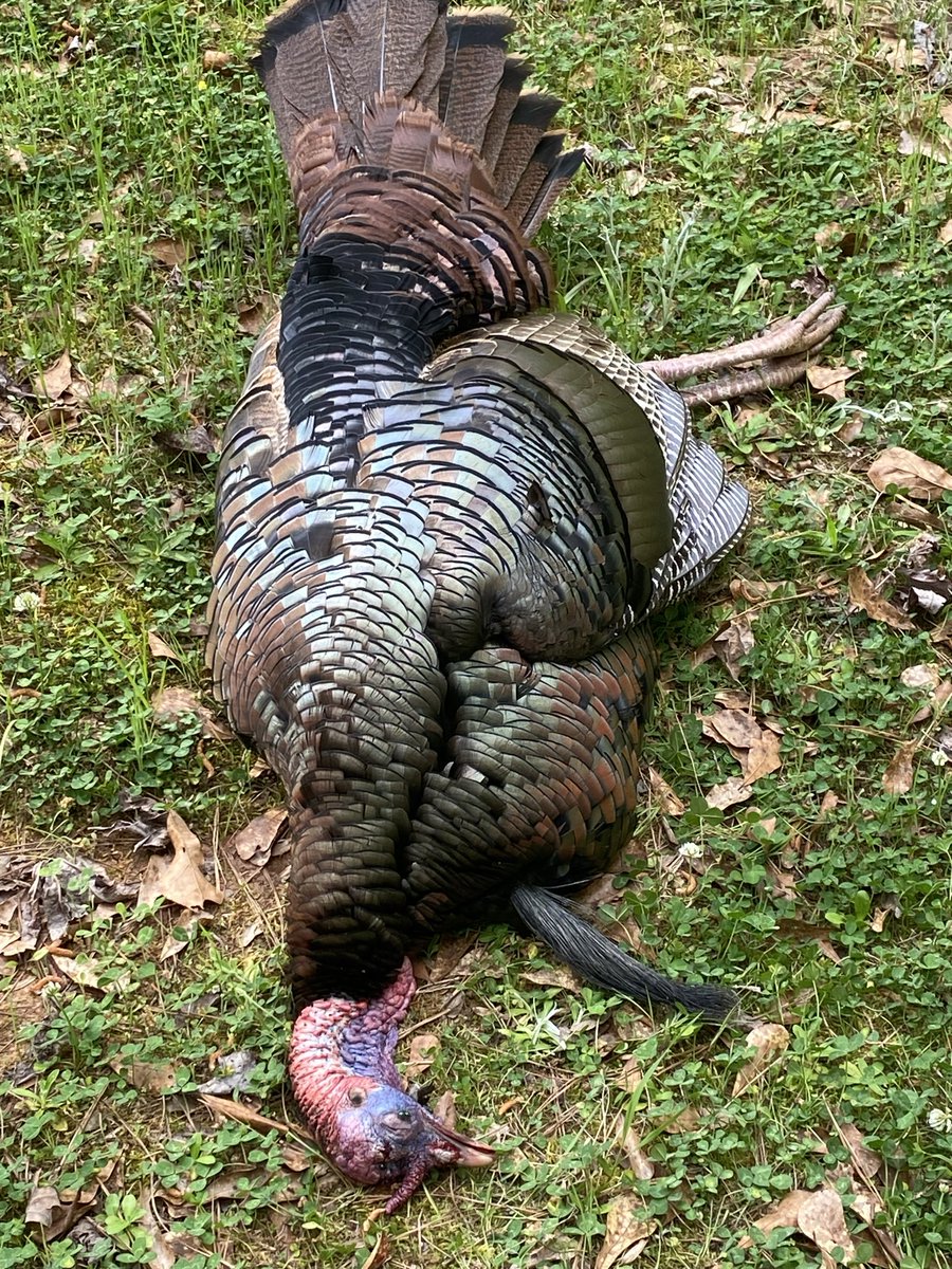 michael long tweet media