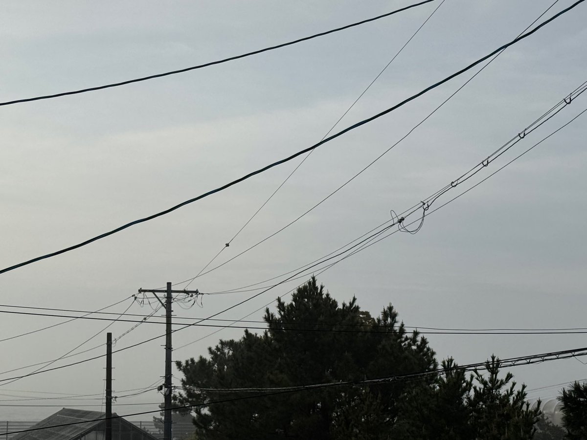 grass(ぐらす)仮 tweet media