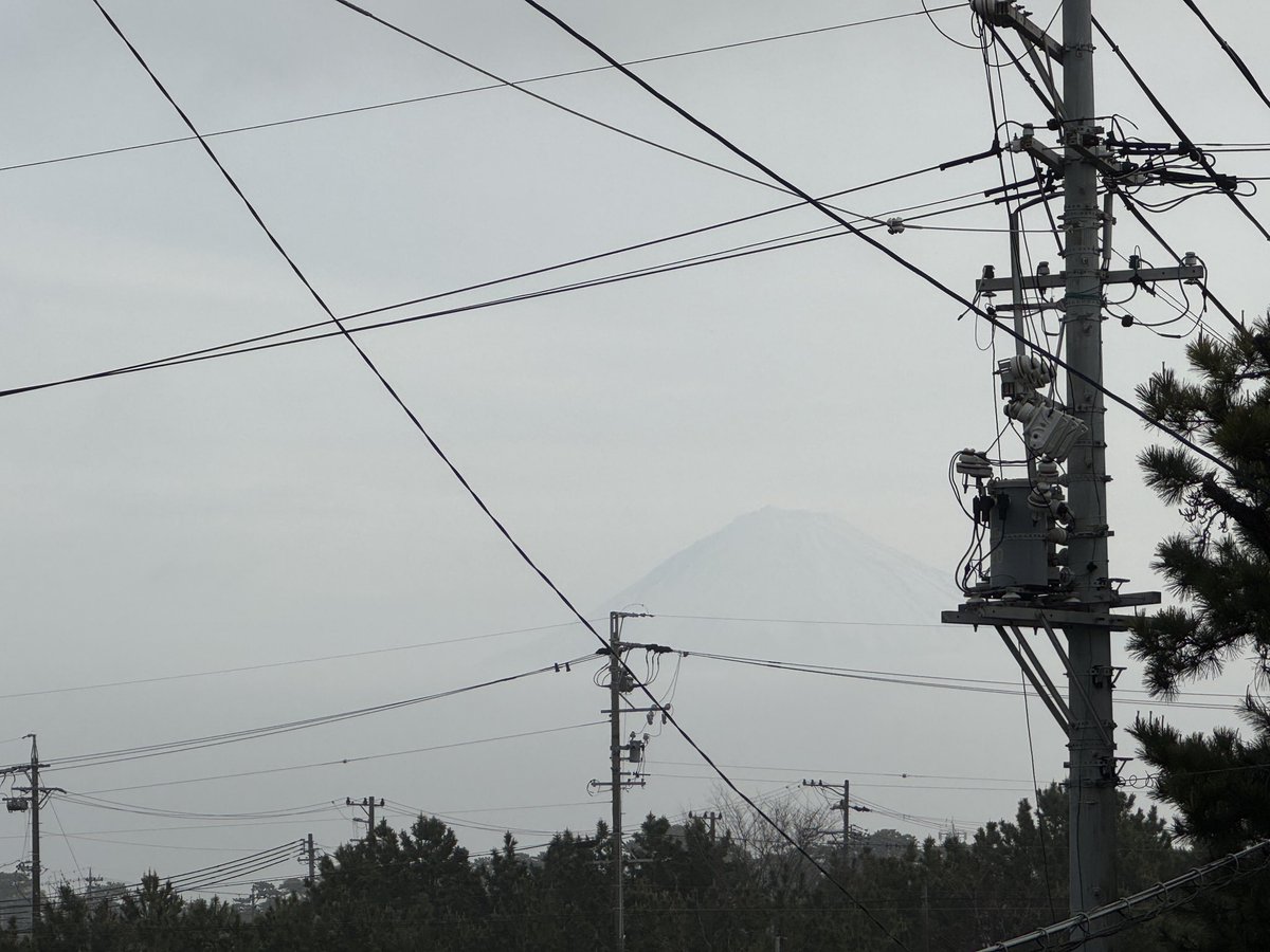 grass(ぐらす)仮 tweet media