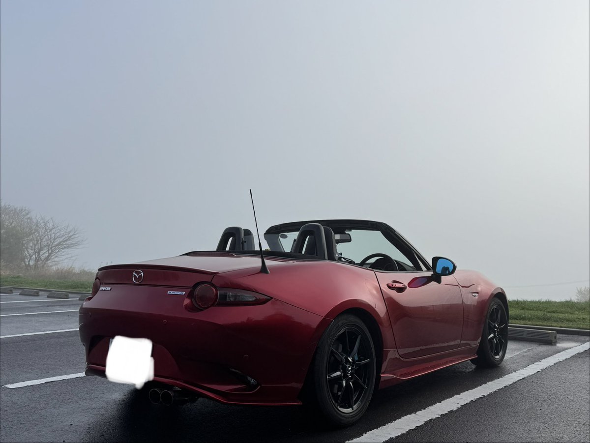 grass(ぐらす)仮 tweet media