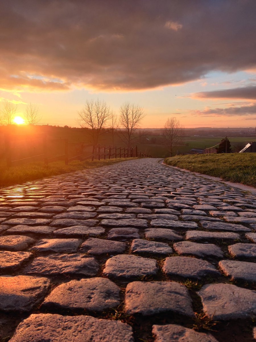 Daniel Lloyd tweet media