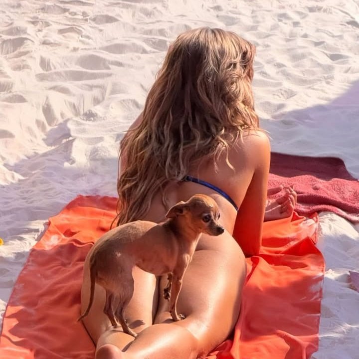 Paraíso Equilibrado tweet media