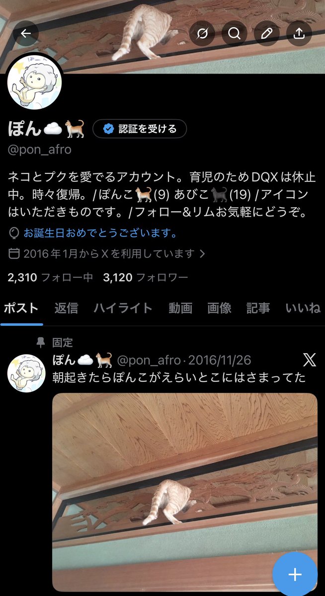 ぽん☁️🐈 tweet media