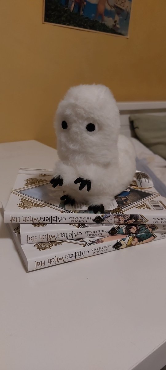 🍞Pan ッ tweet media