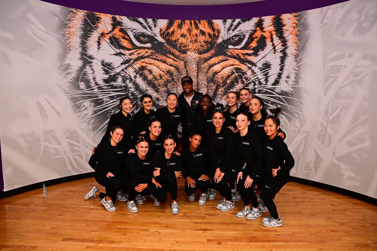Stanford Gymnastics tweet media
