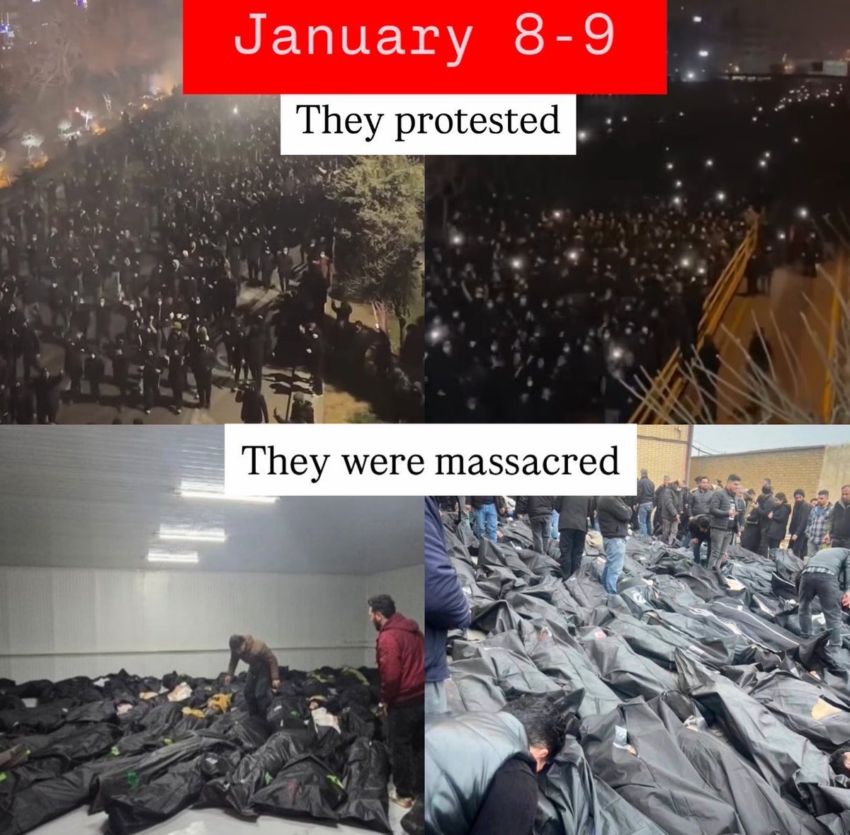 Arash Hampay tweet media