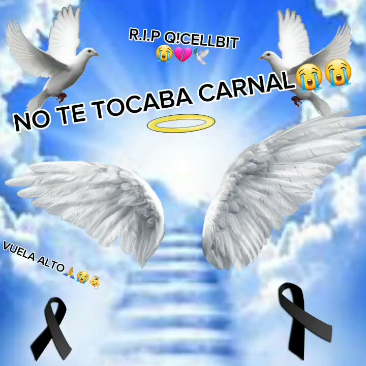 SandiaGameplays's tweet photo. @CronoG96 Mataron
Mataron un inocente
Volando él se fue https://t.co/PEaXtytU3b
