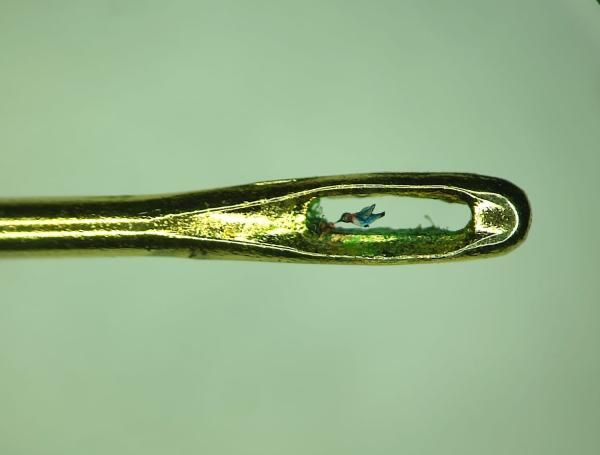 Radio Nacional CO tweet media