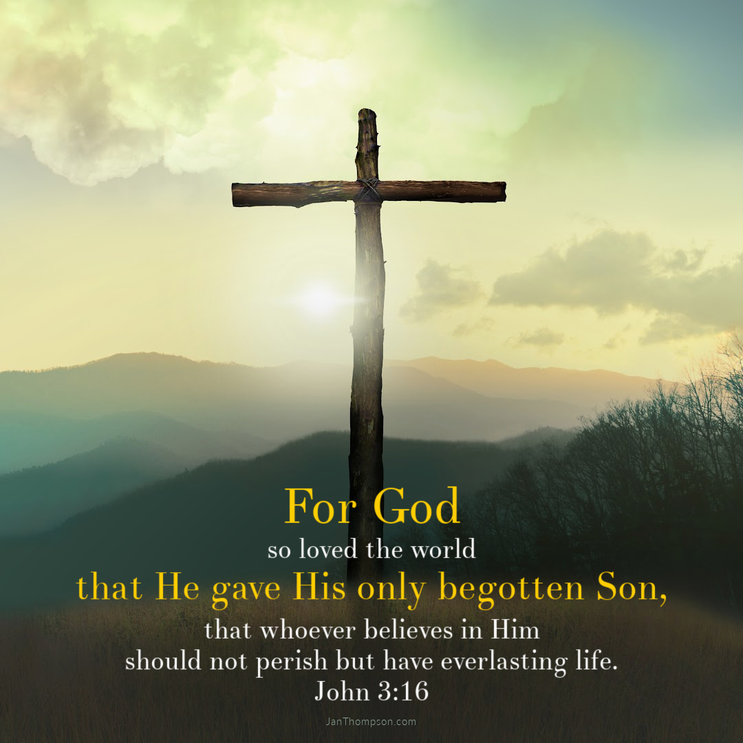 Jan Thompson tweet media