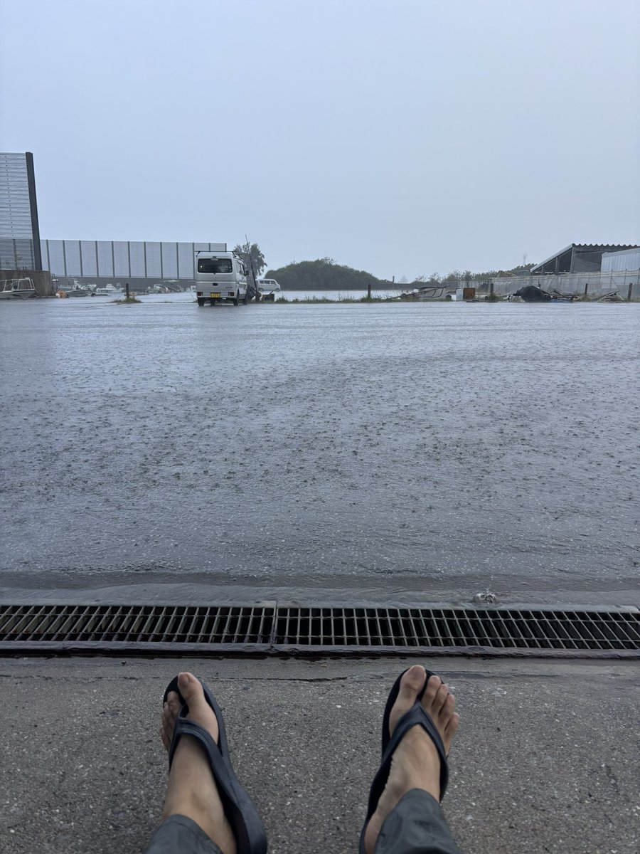 フィッシャーマンおちゃぴ🌺 tweet media