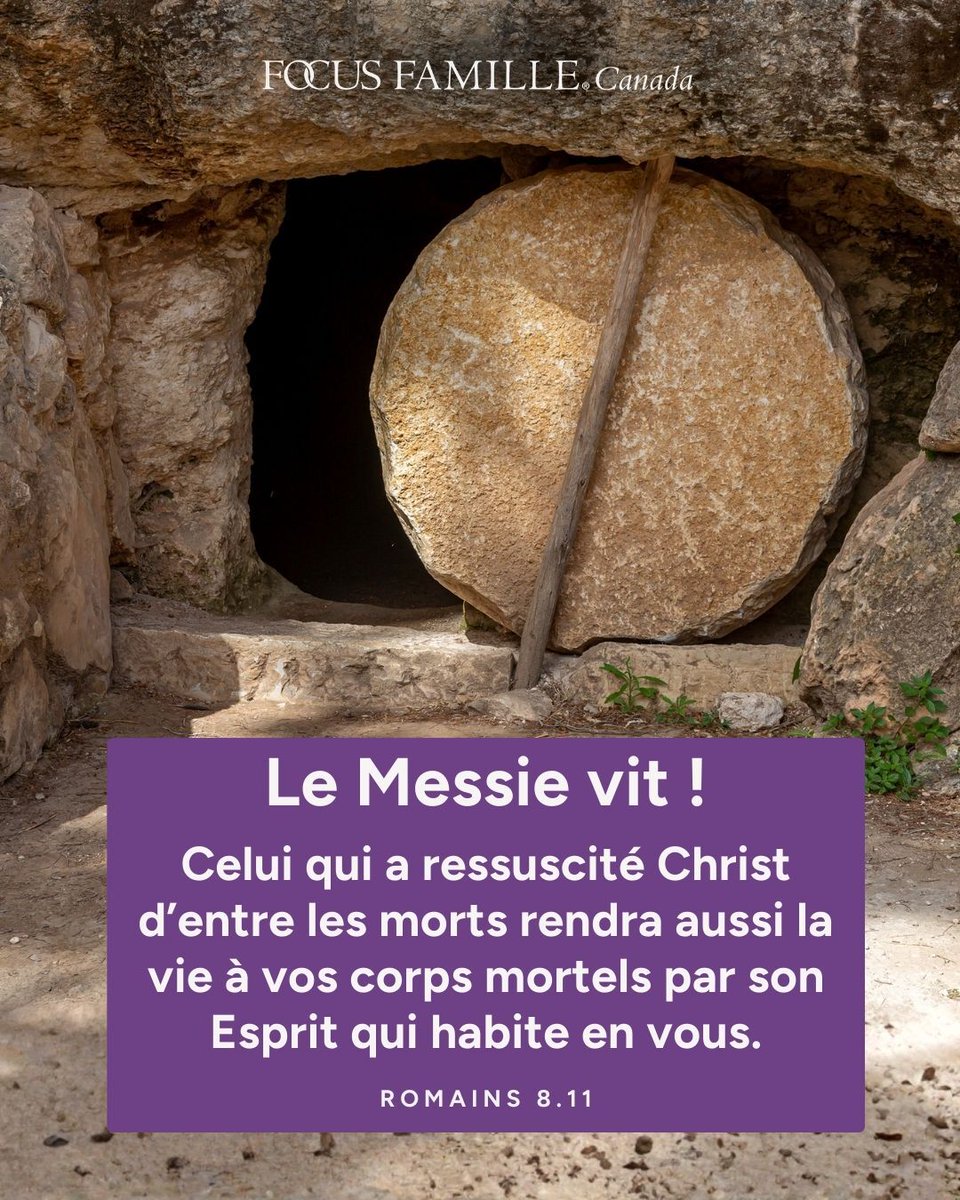 FocusFamille's tweet photo. Jésus-Christ est ressuscité d’entre les morts ! Alléluia, Le Messie vit ! L’équipe de Focus Famille vous souhaite un merveilleux temps festif rempli de la présence, de la lumière, de l’espérance, de la grâce et de la paix que procurent Jésus Le Messie ! Joyeuses Pâques ! https://t.co/rBTldbJ0XO
