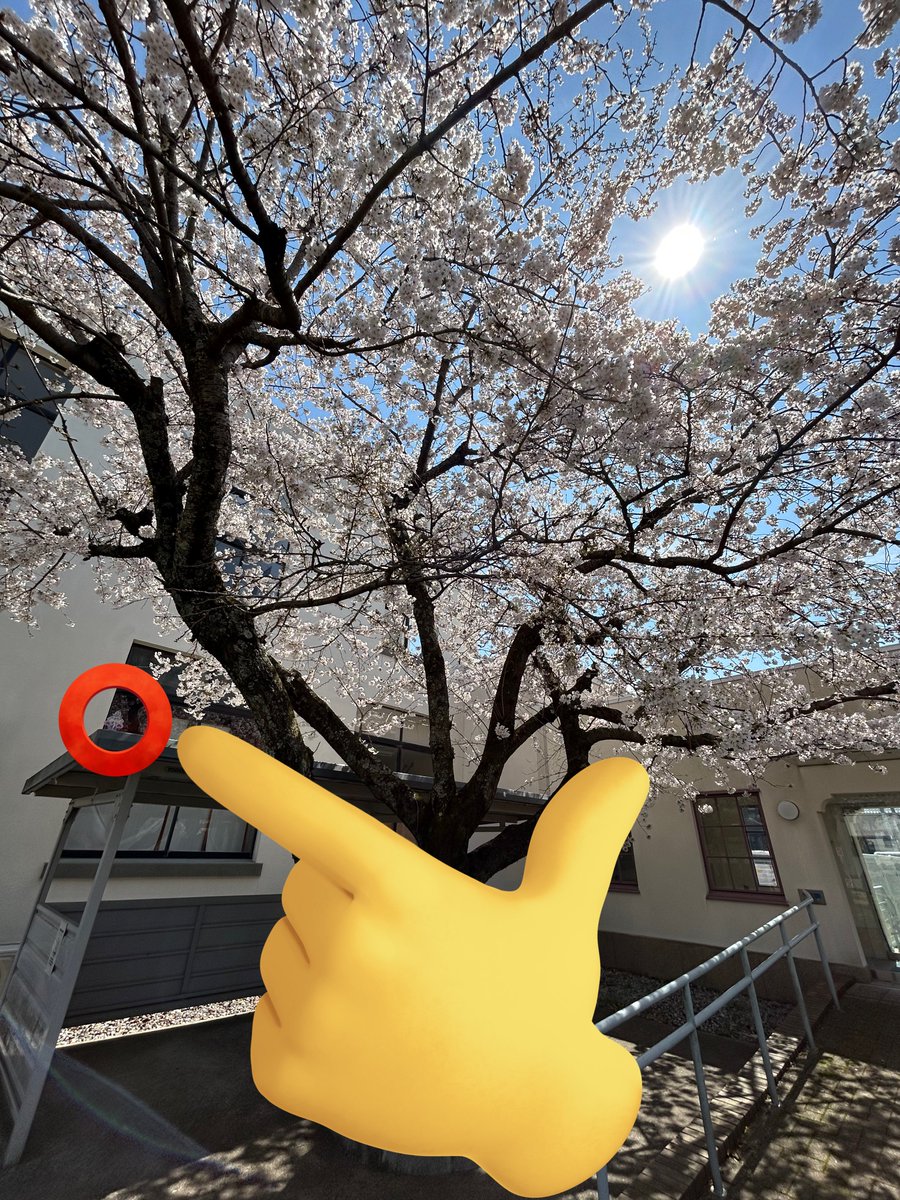 マサシ tweet media