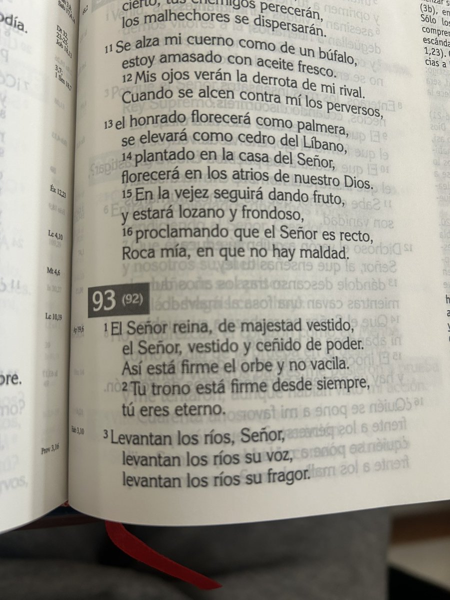 ᴅᴀᴠɪᴅ ʀᴏᴅʀɪɢᴜᴇᴢ tweet media