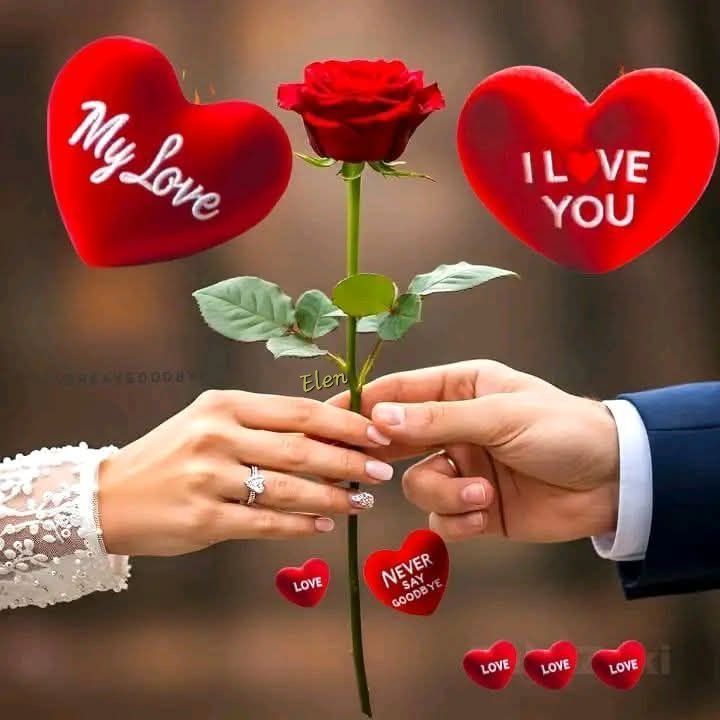 Jason5681139684's tweet photo. ❤️🌹❤️ https://t.co/8WQZjdDMvI