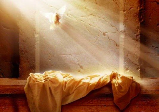 “Entró, vio y creyó…” 
Juan, 20

Feliz Pascua de la resurrección del Señor.