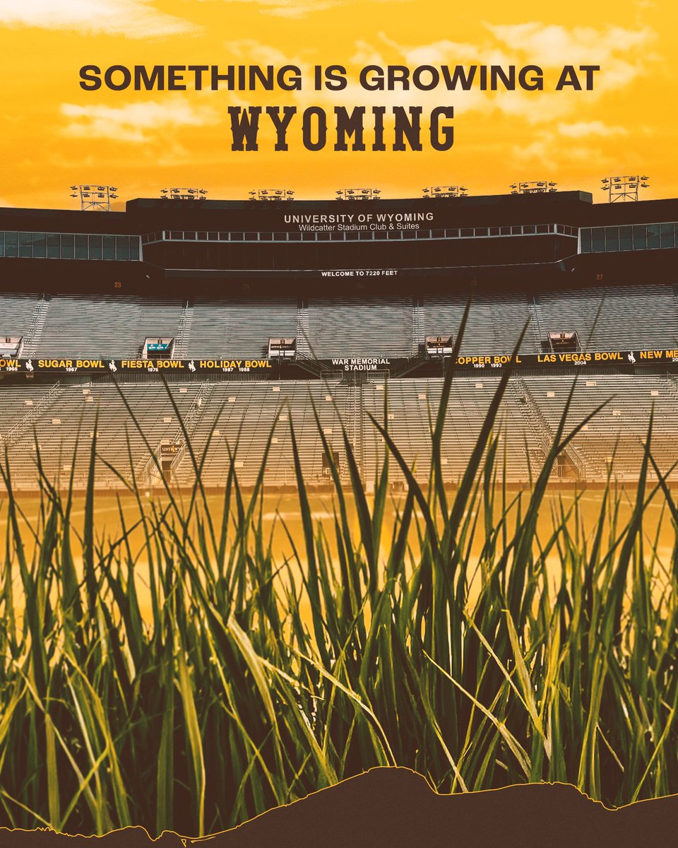 Wyoming Athletics tweet media