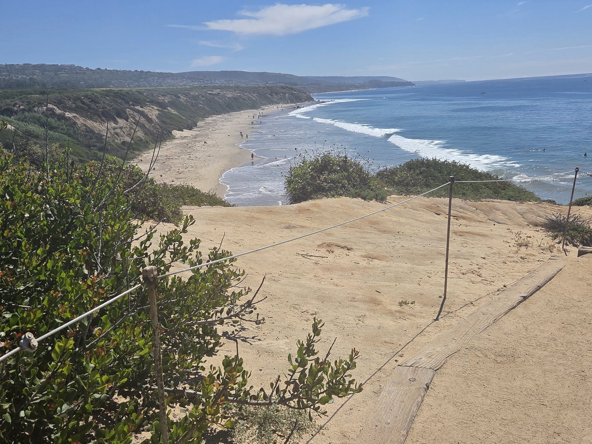 Canine Neurosis tweet media